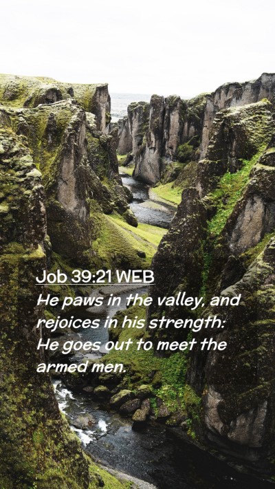 Picture 02 - Job 39:21 WEB Mobile Phone Wallpaper - He paws in the valley, and rejoices in his - Mobile Bible Verse Wallpaper