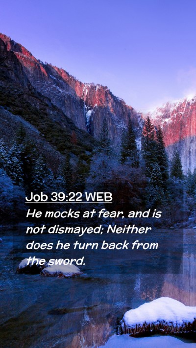 Picture 02 - Job 39:22 WEB Mobile Phone Wallpaper - He mocks at fear, and is not dismayed; Neither - Mobile Bible Verse Wallpaper