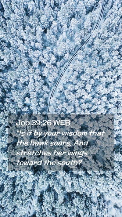 Picture 02 - Job 39:26 WEB Mobile Phone Wallpaper - 