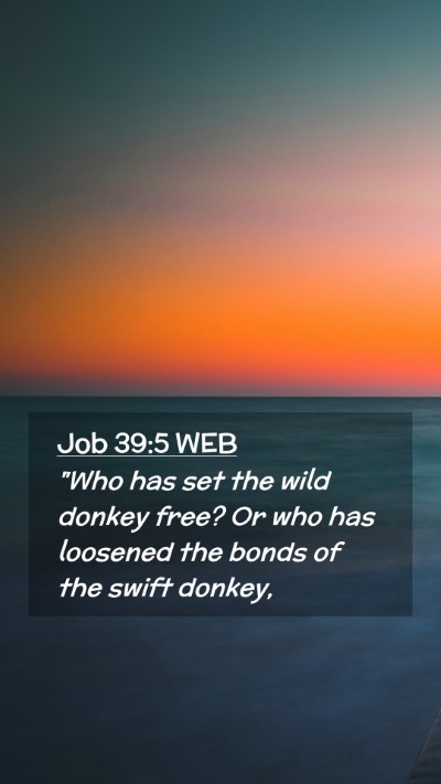 Picture 02 - Job 39:5 WEB Mobile Phone Wallpaper - 