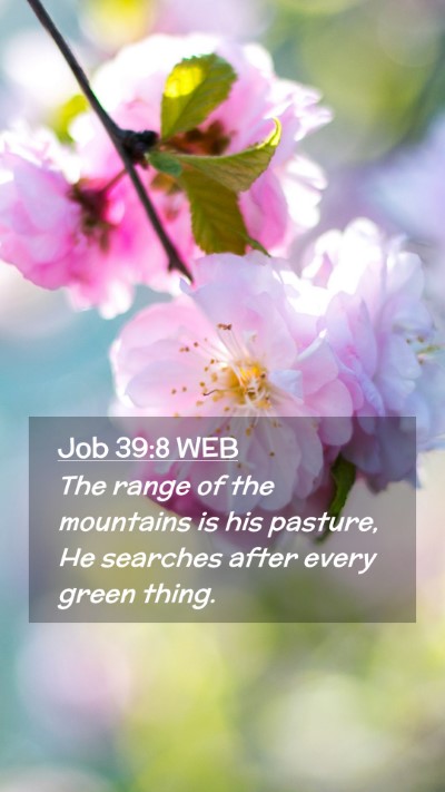Picture 02 - Job 39:8 WEB Mobile Phone Wallpaper - The range of the mountains is his pasture, He - Mobile Bible Verse Wallpaper