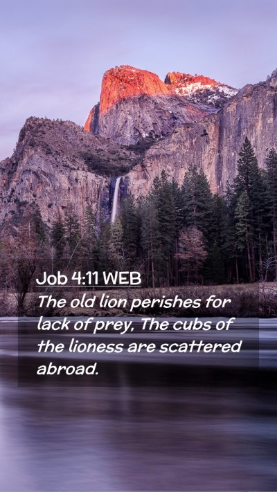 Picture 02 - Job 4:11 WEB Mobile Phone Wallpaper - The old lion perishes for lack of prey, The cubs - Mobile Bible Verse Wallpaper