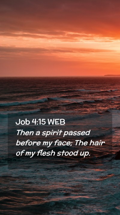 Picture 02 - Job 4:15 WEB Mobile Phone Wallpaper - Then a spirit passed before my face; The hair of - Mobile Bible Verse Wallpaper