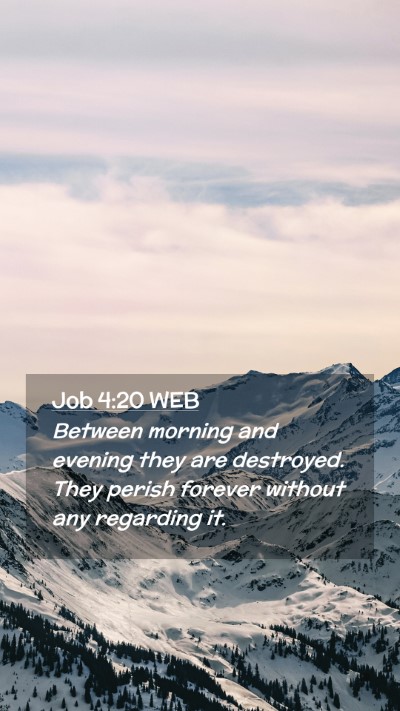 Picture 02 - Job 4:20 WEB Mobile Phone Wallpaper - Between morning and evening they are destroyed. - Mobile Bible Verse Wallpaper