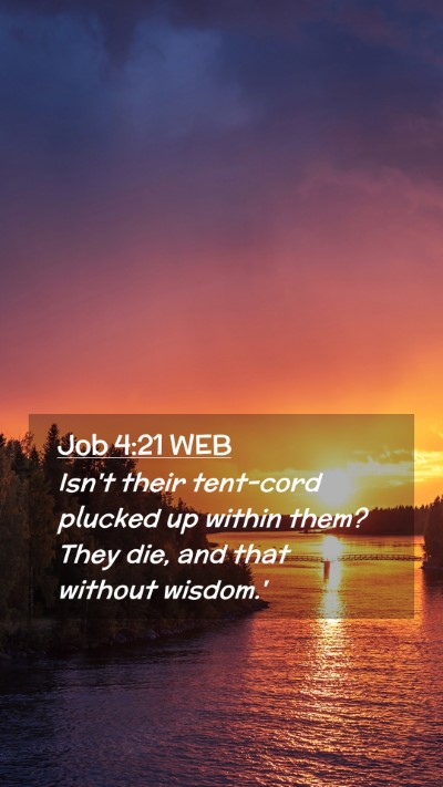 Picture 02 - Job 4:21 WEB Mobile Phone Wallpaper - Isn't their tent-cord plucked up within them? - Mobile Bible Verse Wallpaper