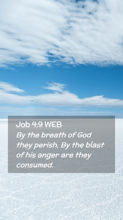 Picture 02 - Job 4:9 WEB Mobile Phone Wallpaper - By the breath of God they perish, By the blast of - Mobile Bible Verse Wallpaper