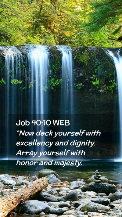 Picture 02 - Job 40:10 WEB Mobile Phone Wallpaper - 
