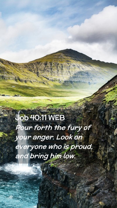 Picture 02 - Job 40:11 WEB Mobile Phone Wallpaper - Pour forth the fury of your anger. Look on - Mobile Bible Verse Wallpaper