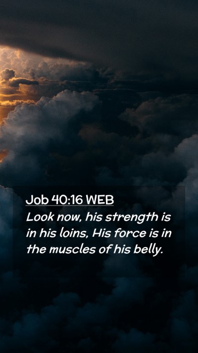 Picture 02 - Job 40:16 WEB Mobile Phone Wallpaper - Look now, his strength is in his loins, His force - Mobile Bible Verse Wallpaper