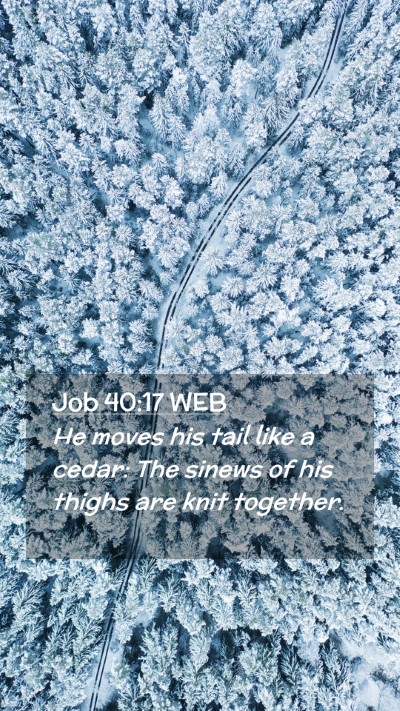 Picture 02 - Job 40:17 WEB Mobile Phone Wallpaper - He moves his tail like a cedar: The sinews of his - Mobile Bible Verse Wallpaper