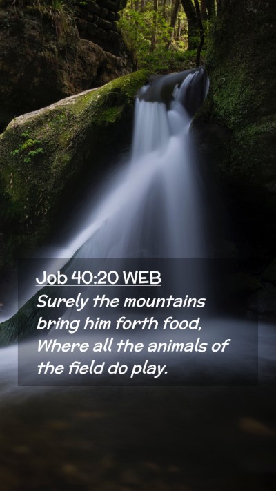 Picture 02 - Job 40:20 WEB Mobile Phone Wallpaper - Surely the mountains bring him forth food, Where - Mobile Bible Verse Wallpaper