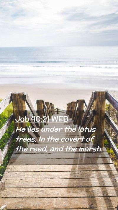 Picture 02 - Job 40:21 WEB Mobile Phone Wallpaper - He lies under the lotus trees, In the covert of - Mobile Bible Verse Wallpaper
