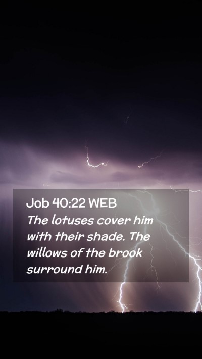 Picture 02 - Job 40:22 WEB Mobile Phone Wallpaper - The lotuses cover him with their shade. The - Mobile Bible Verse Wallpaper