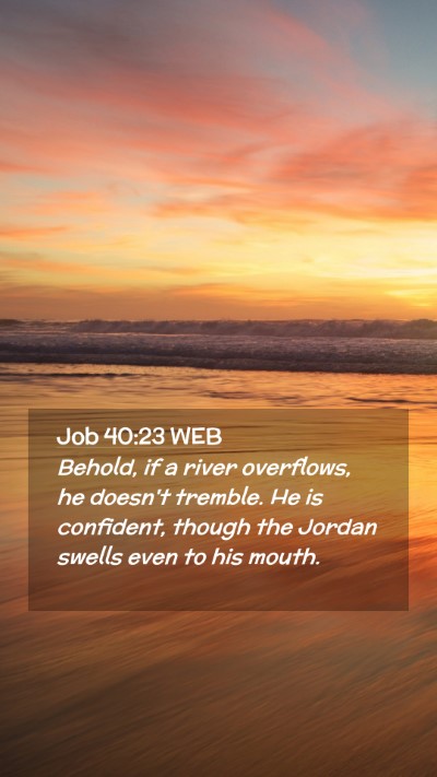 Picture 02 - Job 40:23 WEB Mobile Phone Wallpaper - Behold, if a river overflows, he doesn't tremble. - Mobile Bible Verse Wallpaper