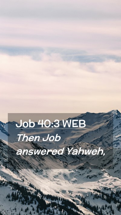Picture 02 - Job 40:3 WEB Mobile Phone Wallpaper - Then Job answered - Mobile Bible Verse Wallpaper