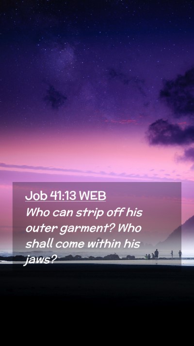 Picture 02 - Job 41:13 WEB Mobile Phone Wallpaper - Who can strip off his outer garment? Who shall - Mobile Bible Verse Wallpaper