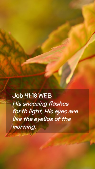Picture 02 - Job 41:18 WEB Mobile Phone Wallpaper - His sneezing flashes forth light, His eyes are - Mobile Bible Verse Wallpaper