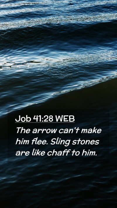 Picture 02 - Job 41:28 WEB Mobile Phone Wallpaper - The arrow can't make him flee. Sling stones are - Mobile Bible Verse Wallpaper
