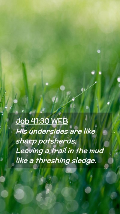 Picture 02 - Job 41:30 WEB Mobile Phone Wallpaper - His undersides are like sharp potsherds, Leaving - Mobile Bible Verse Wallpaper
