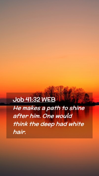 Picture 02 - Job 41:32 WEB Mobile Phone Wallpaper - He makes a path to shine after him. One would - Mobile Bible Verse Wallpaper