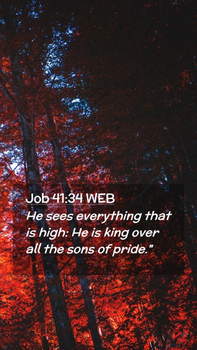 Picture 02 - Job 41:34 WEB Mobile Phone Wallpaper - He sees everything that is high: He is king over - Mobile Bible Verse Wallpaper