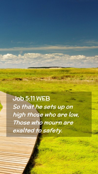 Picture 02 - Job 5:11 WEB Mobile Phone Wallpaper - So that he sets up on high those who are low, - Mobile Bible Verse Wallpaper