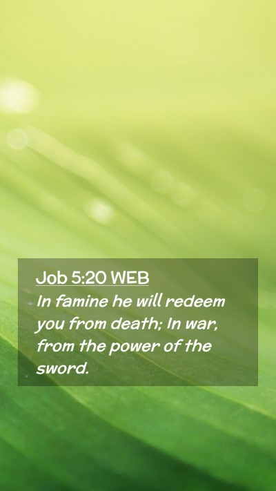 Picture 02 - Job 5:20 WEB Mobile Phone Wallpaper - In famine he will redeem you from death; In war, - Mobile Bible Verse Wallpaper