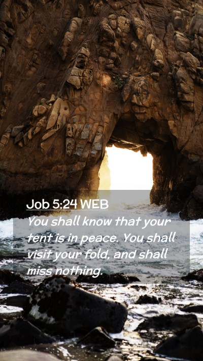 Picture 02 - Job 5:24 WEB Mobile Phone Wallpaper - You shall know that your tent is in peace. You - Mobile Bible Verse Wallpaper