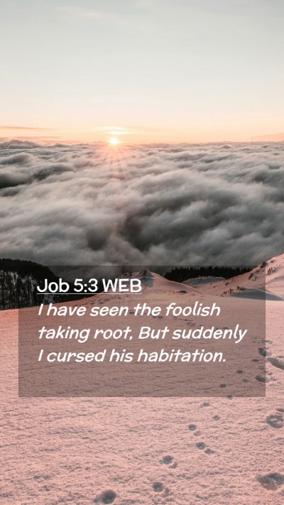 Picture 02 - Job 5:3 WEB Mobile Phone Wallpaper - I have seen the foolish taking root, But suddenly - Mobile Bible Verse Wallpaper