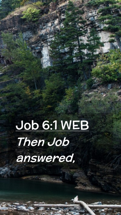 Picture 02 - Job 6:1 WEB Mobile Phone Wallpaper - Then Job - Mobile Bible Verse Wallpaper
