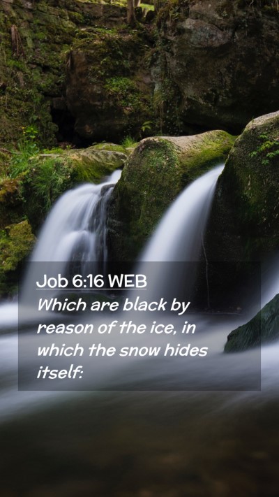 Picture 02 - Job 6:16 WEB Mobile Phone Wallpaper - Which are black by reason of the ice, in which - Mobile Bible Verse Wallpaper