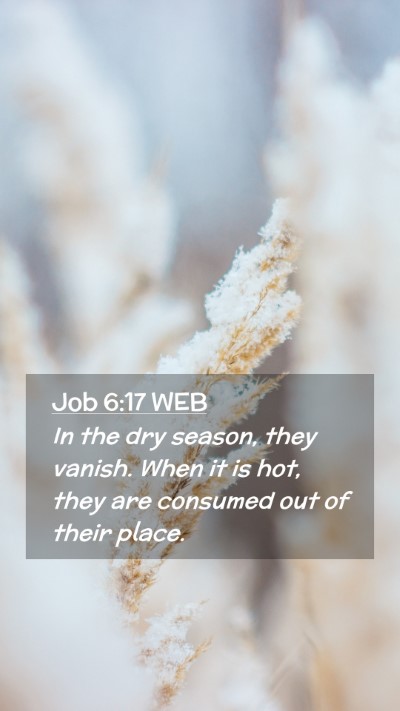 Picture 02 - Job 6:17 WEB Mobile Phone Wallpaper - In the dry season, they vanish. When it is hot, - Mobile Bible Verse Wallpaper