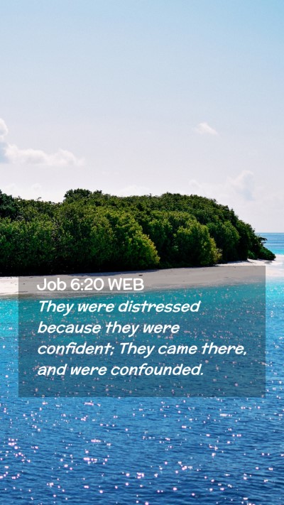 Picture 02 - Job 6:20 WEB Mobile Phone Wallpaper - They were distressed because they were confident; - Mobile Bible Verse Wallpaper