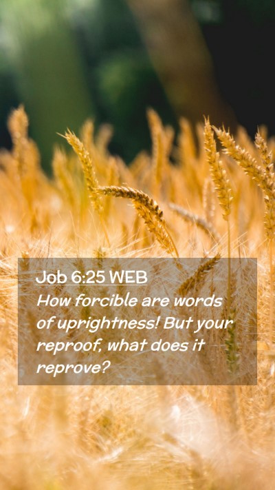 Picture 02 - Job 6:25 WEB Mobile Phone Wallpaper - How forcible are words of uprightness! But your - Mobile Bible Verse Wallpaper