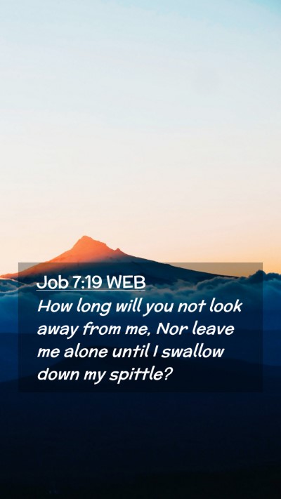Picture 02 - Job 7:19 WEB Mobile Phone Wallpaper - How long will you not look away from me, Nor - Mobile Bible Verse Wallpaper
