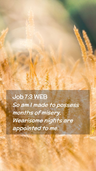 Picture 02 - Job 7:3 WEB Mobile Phone Wallpaper - So am I made to possess months of misery, - Mobile Bible Verse Wallpaper