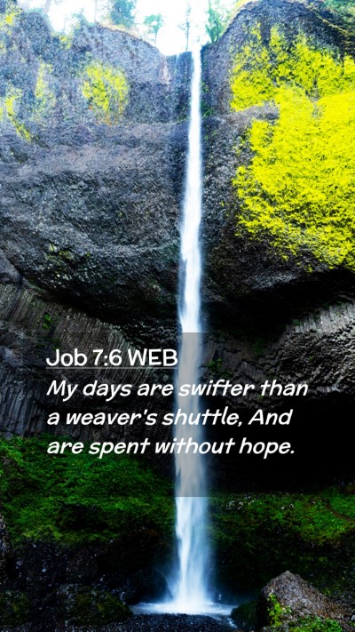 Picture 02 - Job 7:6 WEB Mobile Phone Wallpaper - My days are swifter than a weaver's shuttle, And - Mobile Bible Verse Wallpaper