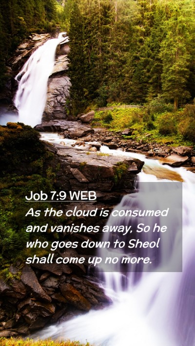 Picture 02 - Job 7:9 WEB Mobile Phone Wallpaper - As the cloud is consumed and vanishes away, So he - Mobile Bible Verse Wallpaper