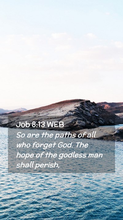 Picture 02 - Job 8:13 WEB Mobile Phone Wallpaper - So are the paths of all who forget God. The hope - Mobile Bible Verse Wallpaper