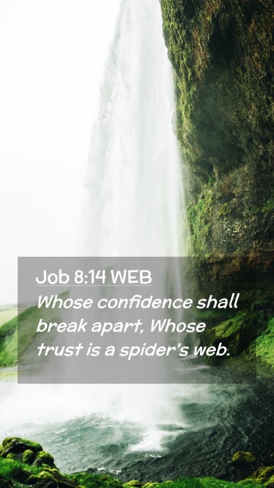 Picture 02 - Job 8:14 WEB Mobile Phone Wallpaper - Whose confidence shall break apart, Whose trust - Mobile Bible Verse Wallpaper