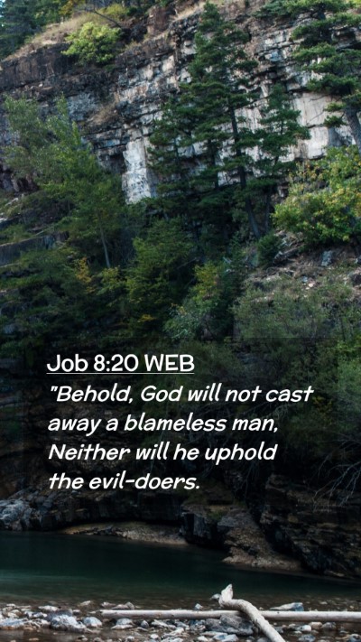 Picture 02 - Job 8:20 WEB Mobile Phone Wallpaper - 