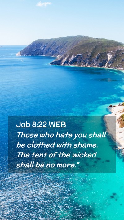 Picture 02 - Job 8:22 WEB Mobile Phone Wallpaper - Those who hate you shall be clothed with shame. - Mobile Bible Verse Wallpaper