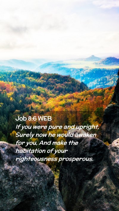 Picture 02 - Job 8:6 WEB Mobile Phone Wallpaper - If you were pure and upright, Surely now he would - Mobile Bible Verse Wallpaper