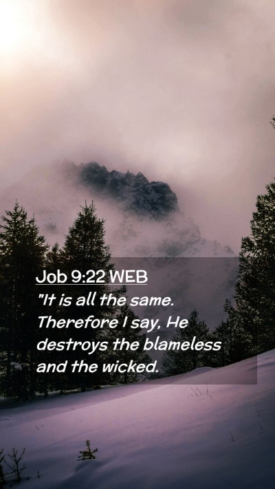 Picture 02 - Job 9:22 WEB Mobile Phone Wallpaper - 