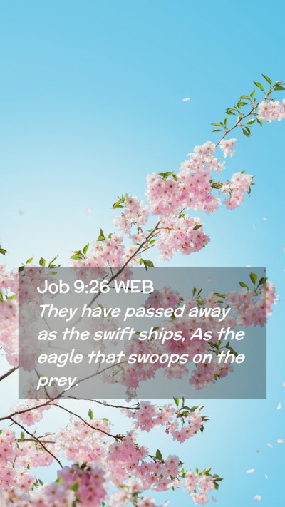 Picture 02 - Job 9:26 WEB Mobile Phone Wallpaper - They have passed away as the swift ships, As the - Mobile Bible Verse Wallpaper