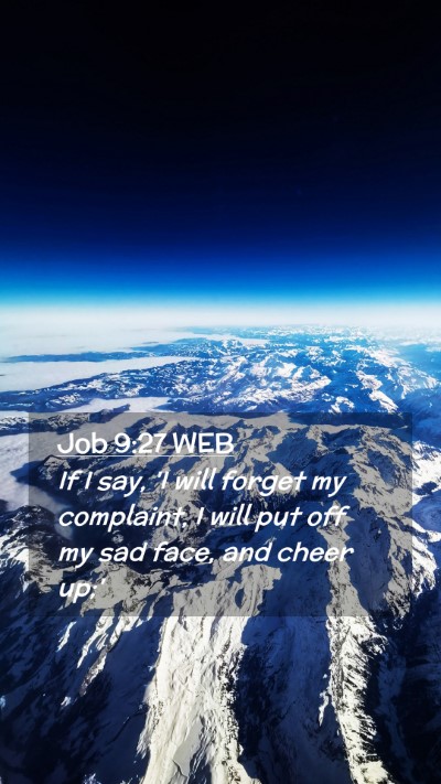 Picture 02 - Job 9:27 WEB Mobile Phone Wallpaper - If I say, 'I will forget my complaint, I will put - Mobile Bible Verse Wallpaper