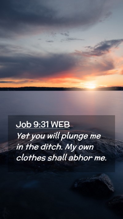 Picture 02 - Job 9:31 WEB Mobile Phone Wallpaper - Yet you will plunge me in the ditch. My own - Mobile Bible Verse Wallpaper