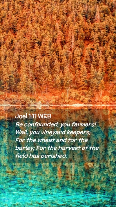 Picture 02 - Joel 1:11 WEB Mobile Phone Wallpaper - Be confounded, you farmers! Wail, you vineyard - Mobile Bible Verse Wallpaper