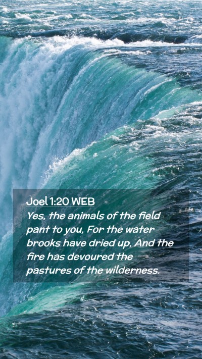 Picture 02 - Joel 1:20 WEB Mobile Phone Wallpaper - Yes, the animals of the field pant to you, For - Mobile Bible Verse Wallpaper