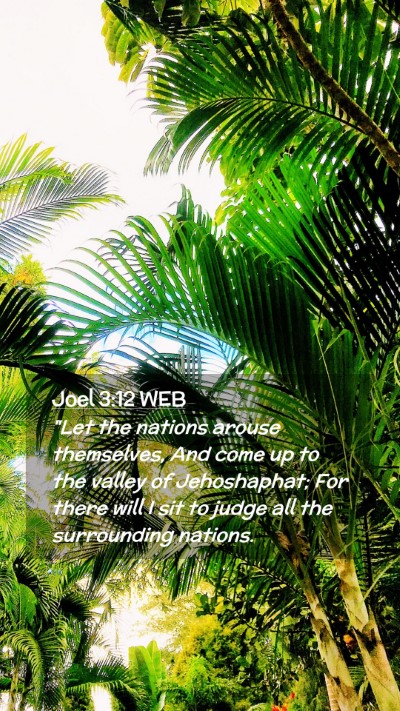 Picture 02 - Joel 3:12 WEB Mobile Phone Wallpaper - 
